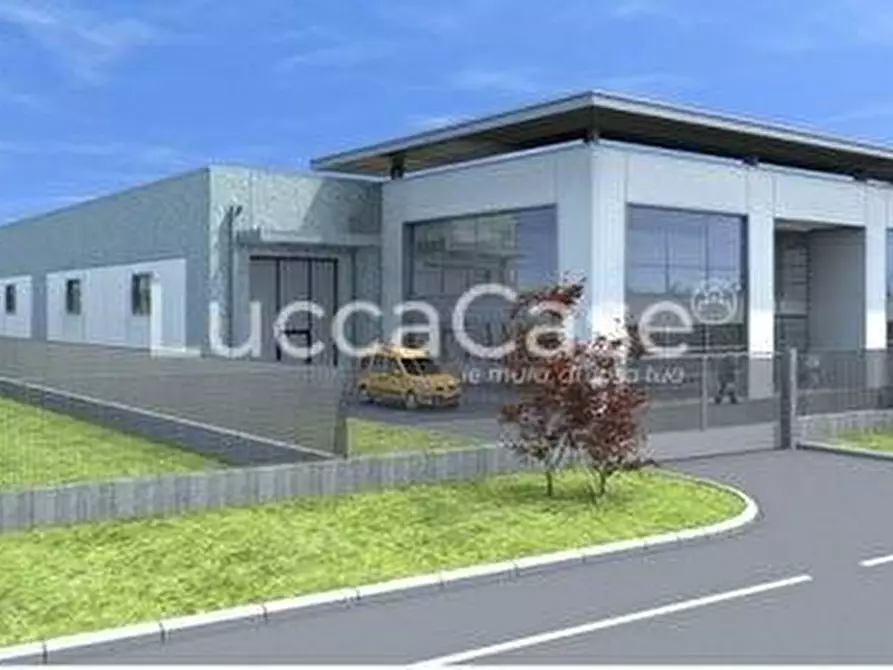 Immagine 2 di Attività artigianale in affitto  a Pisa