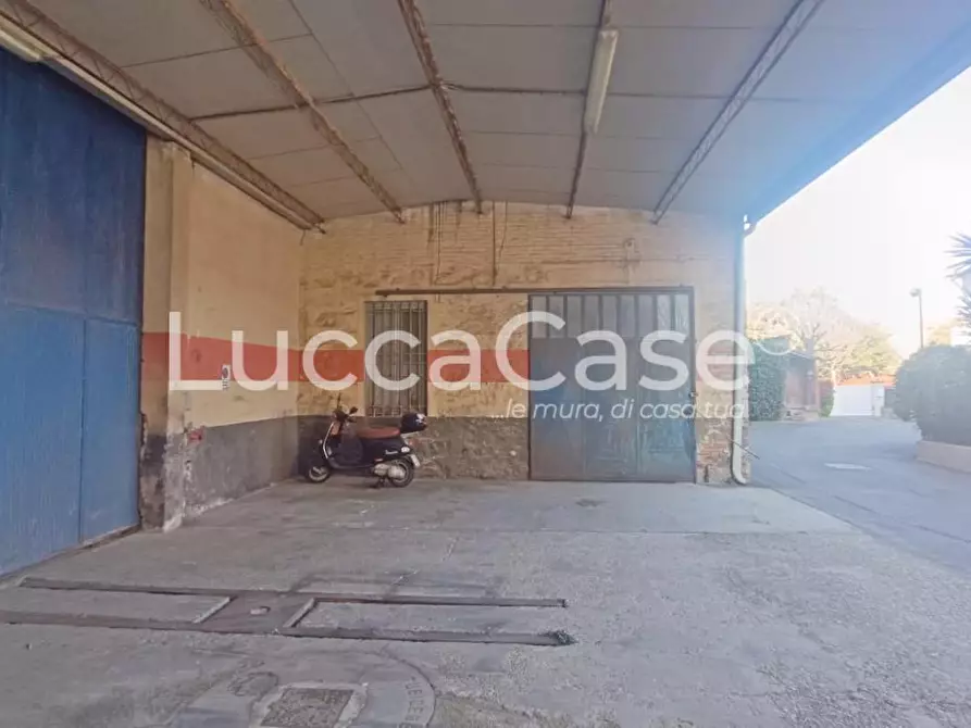 Immagine 7 di Attività artigianale in affitto  a Capannori