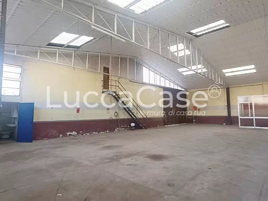 Immagine 2 di Attività artigianale in affitto  a Capannori