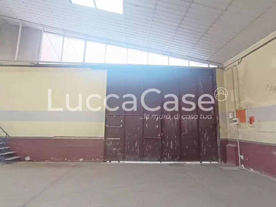 Immagine 3 di Attività artigianale in affitto  a Capannori