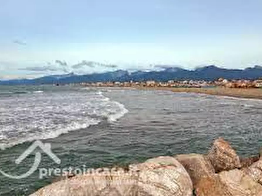 Immagine 7 di Appartamento in vendita  a Viareggio