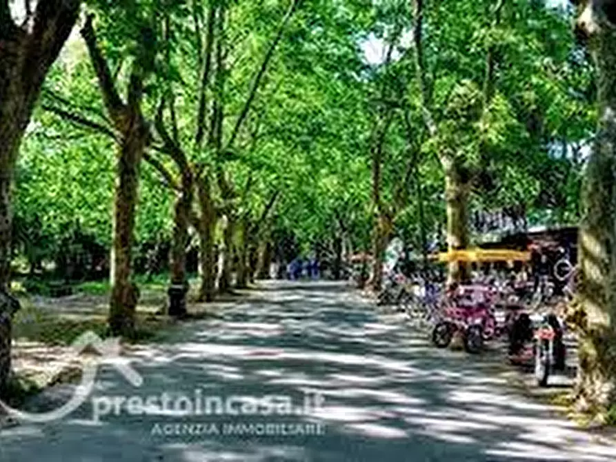 Immagine 8 di Appartamento in vendita  a Viareggio