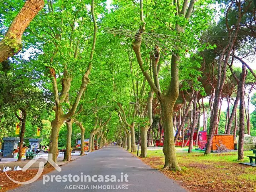 Immagine 6 di Appartamento in vendita  a Viareggio