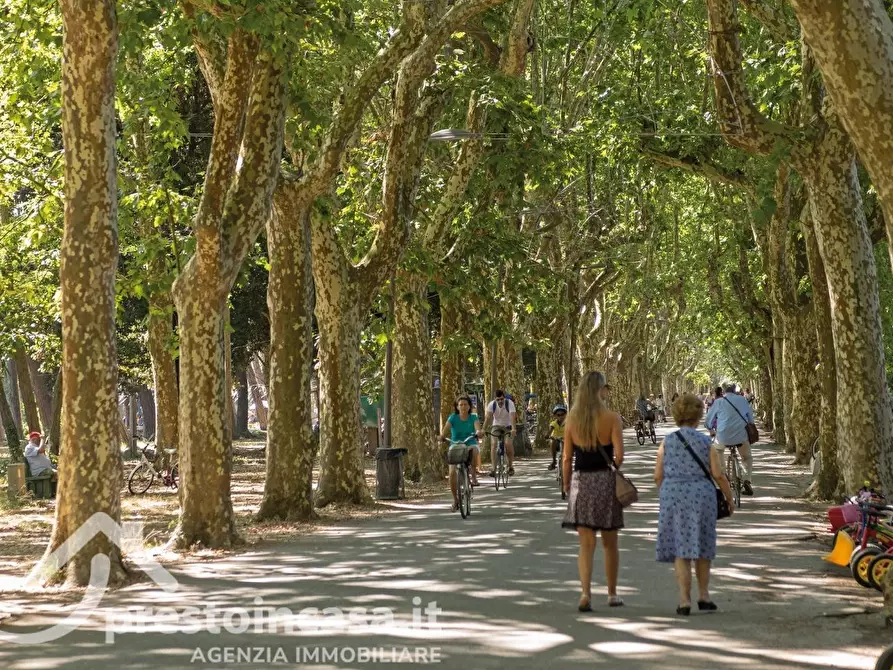 Immagine 10 di Appartamento in vendita  a Viareggio