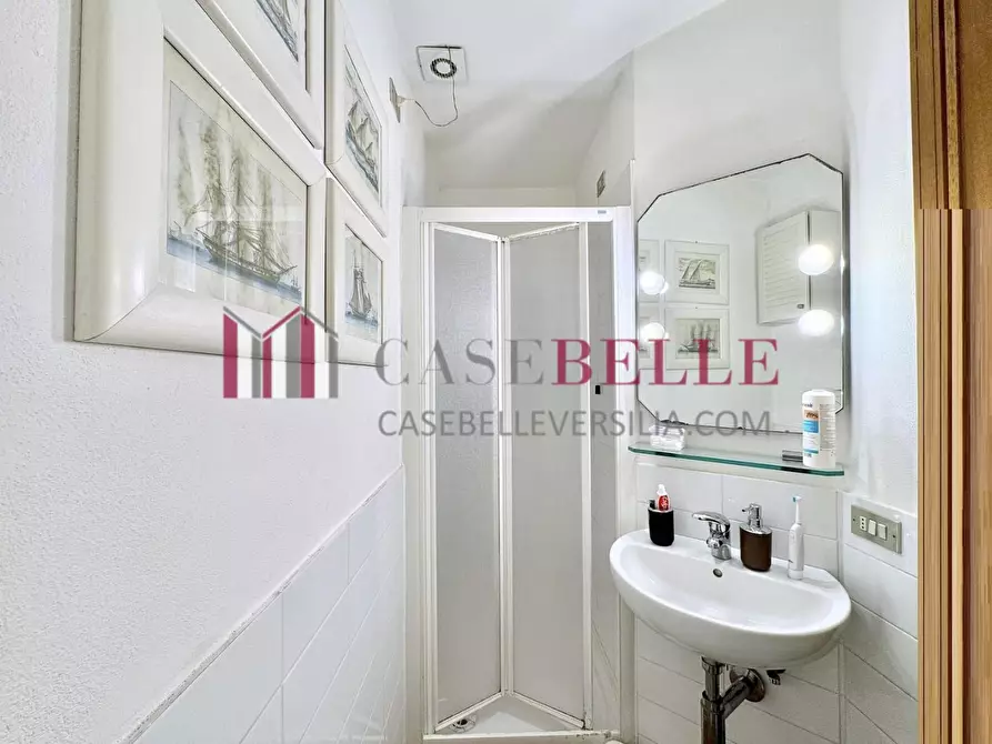 Immagine 13 di Appartamento in affitto  a Camaiore