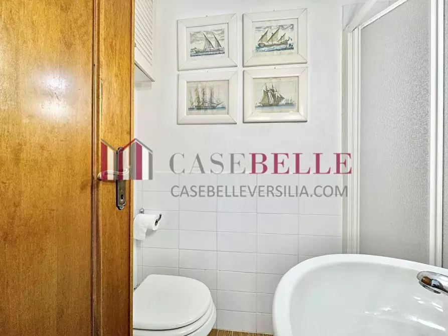 Immagine 12 di Appartamento in affitto  a Camaiore