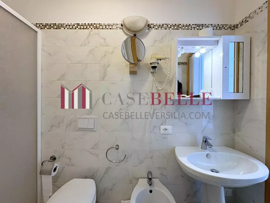 Immagine 23 di Appartamento in affitto  a Camaiore