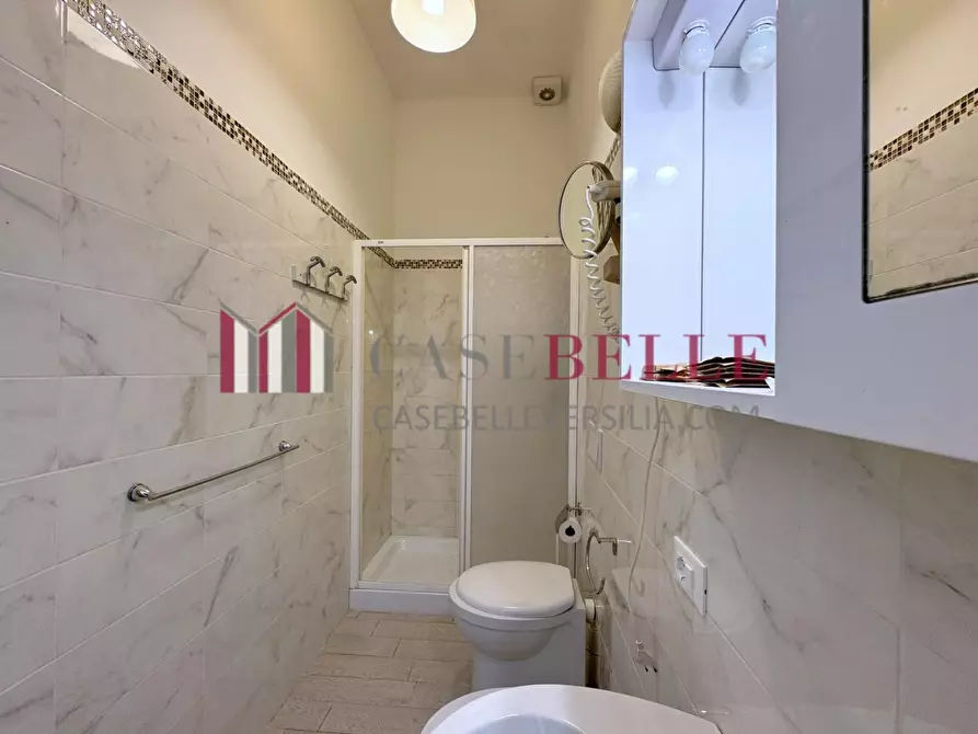 Immagine 22 di Appartamento in affitto  a Camaiore