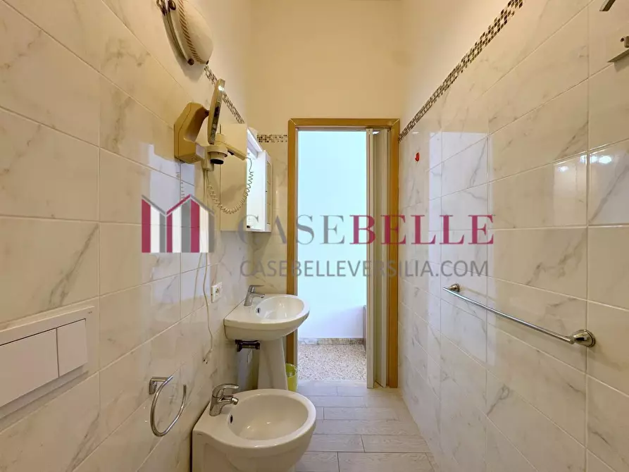 Immagine 24 di Appartamento in affitto  a Camaiore