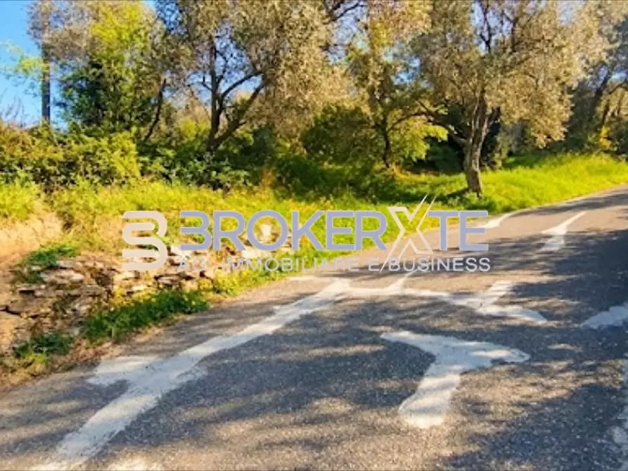 Immagine 7 di Terreno agricolo in vendita  a Fosdinovo