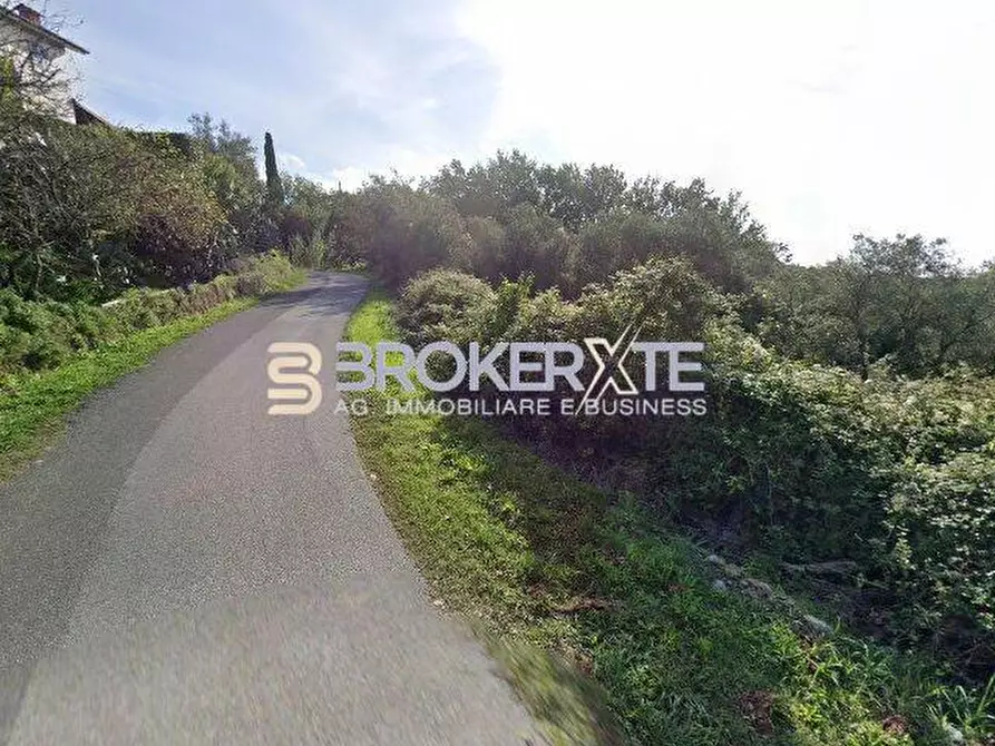 Immagine 4 di Terreno agricolo in vendita  a Fosdinovo