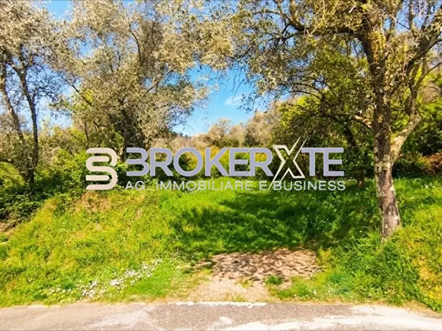 Immagine 8 di Terreno agricolo in vendita  a Fosdinovo