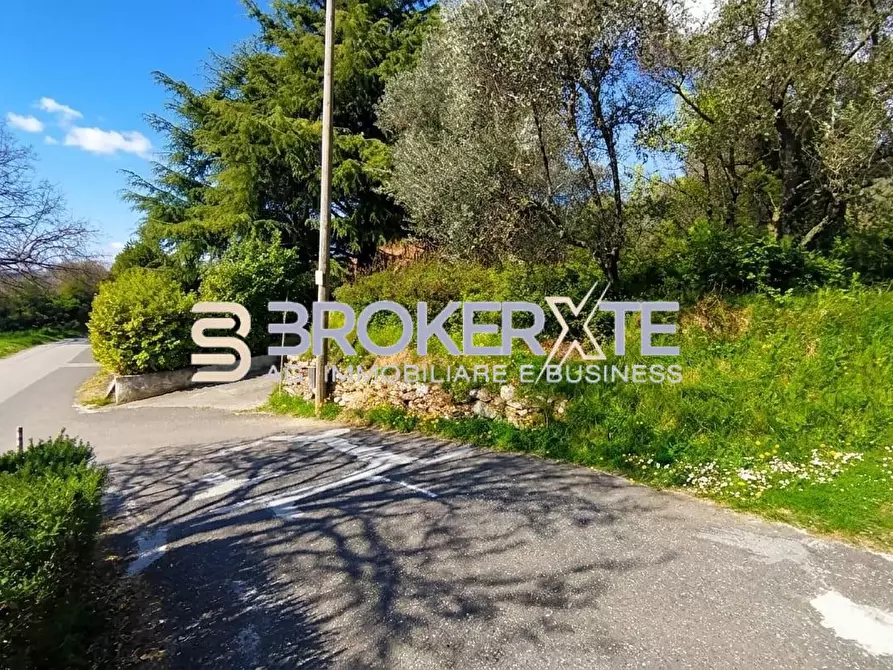 Immagine 9 di Terreno agricolo in vendita  a Fosdinovo
