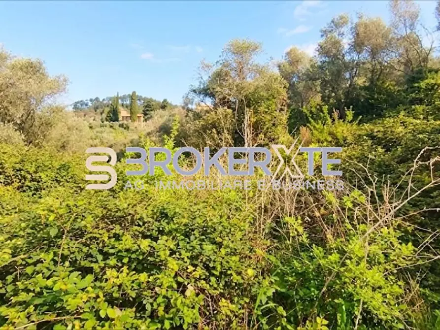 Immagine 10 di Terreno agricolo in vendita  a Fosdinovo