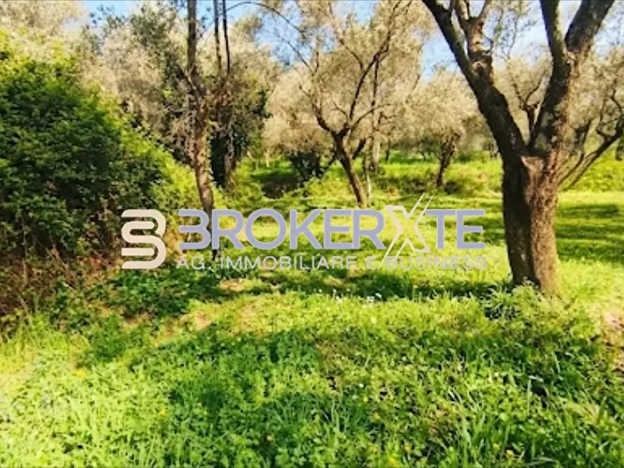 Immagine 11 di Terreno agricolo in vendita  a Fosdinovo