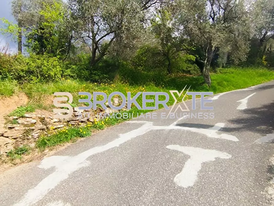 Immagine 2 di Terreno agricolo in vendita  a Fosdinovo