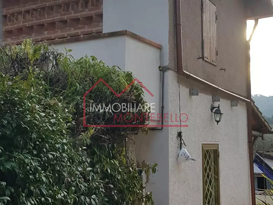 Immagine 17 di Rustico / casale in vendita  a Camaiore