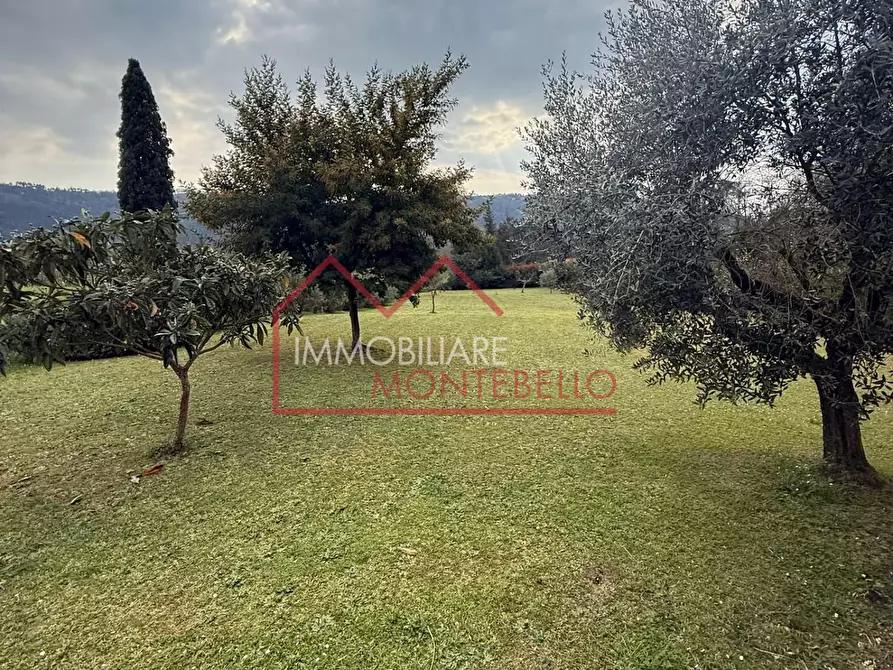 Immagine 12 di Rustico / casale in vendita  a Camaiore