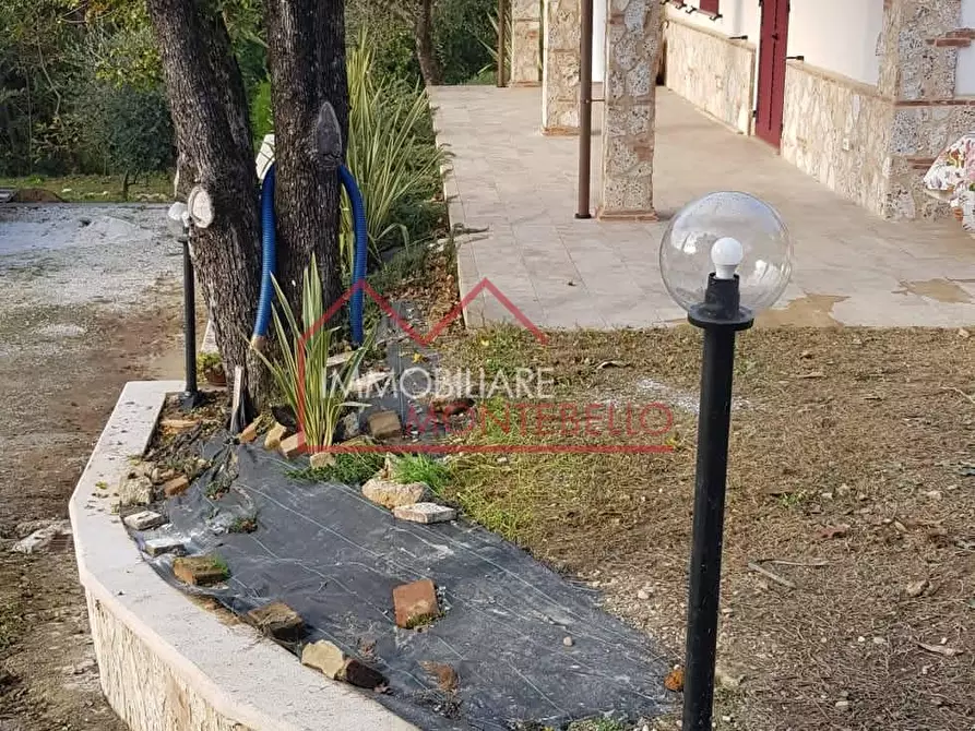 Immagine 16 di Rustico / casale in vendita  a Camaiore