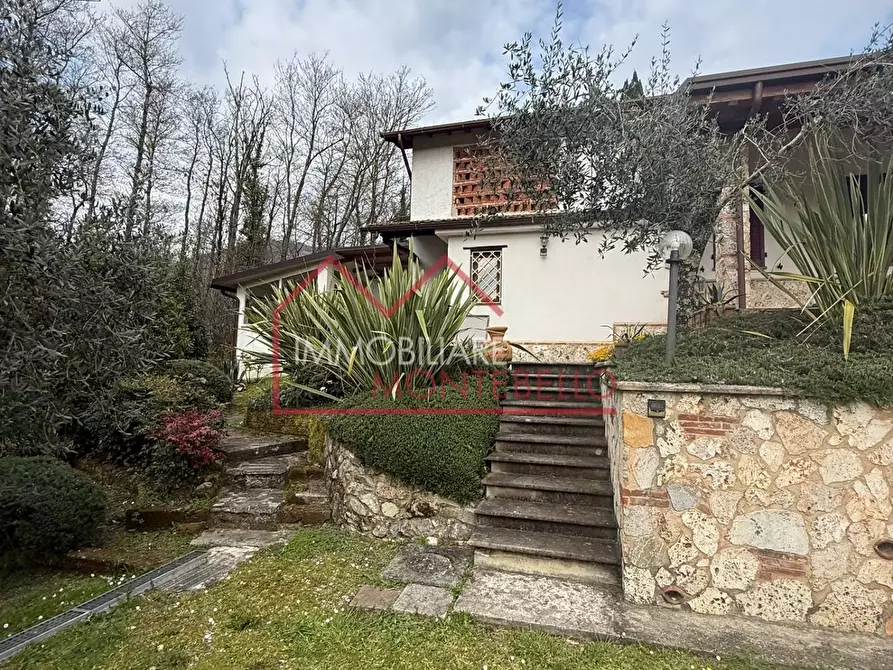 Immagine 10 di Rustico / casale in vendita  a Camaiore