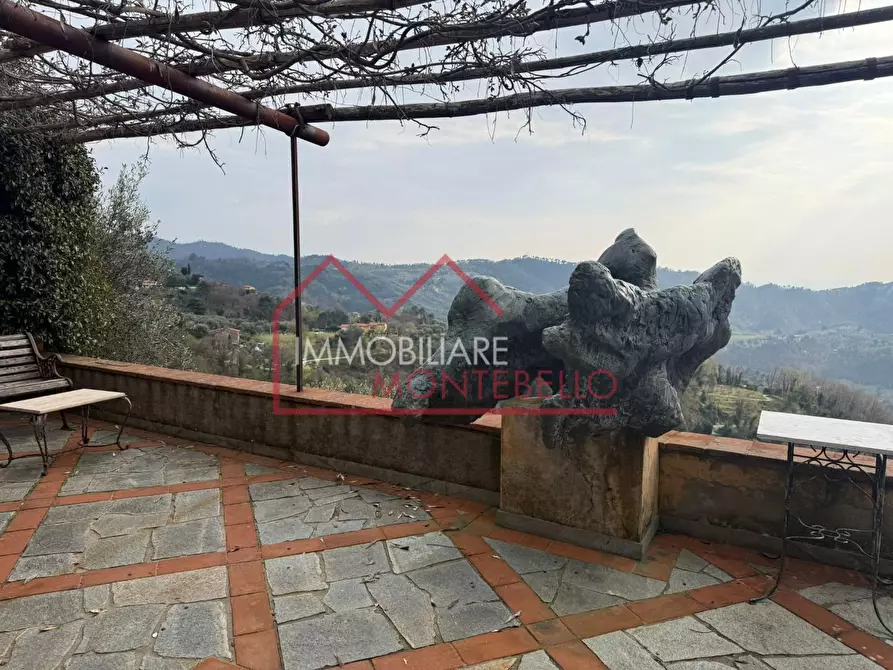 Immagine 40 di Rustico / casale in vendita  a Camaiore