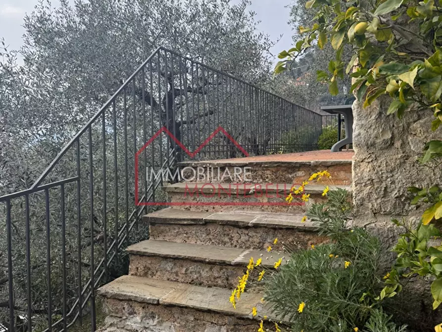 Immagine 11 di Rustico / casale in vendita  a Camaiore