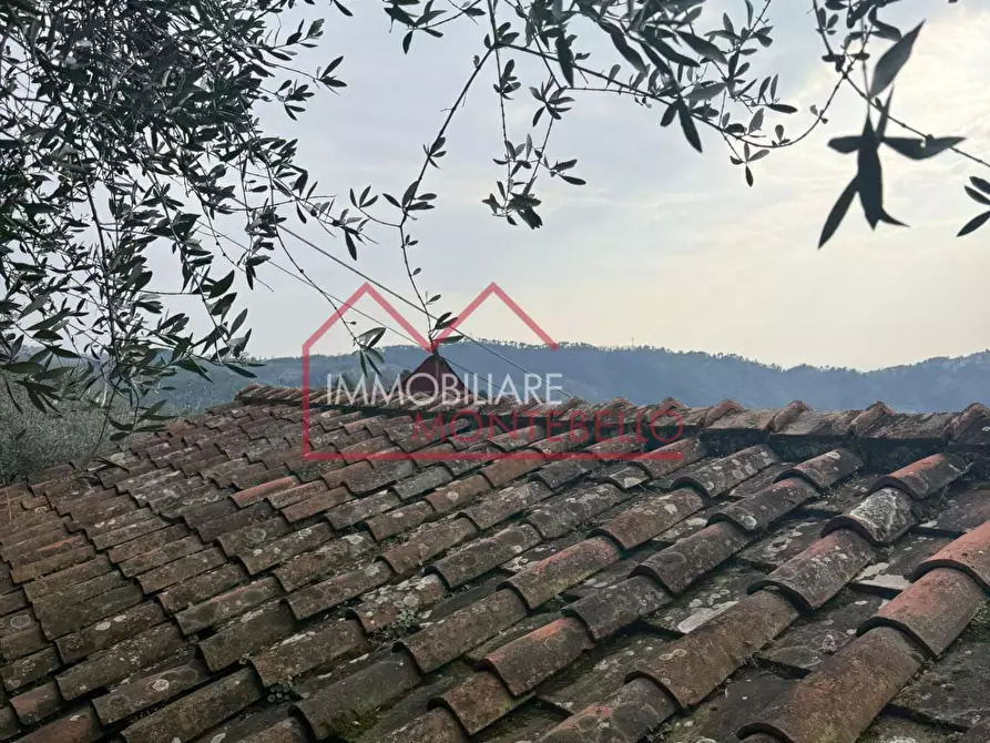 Immagine 10 di Rustico / casale in vendita  a Camaiore