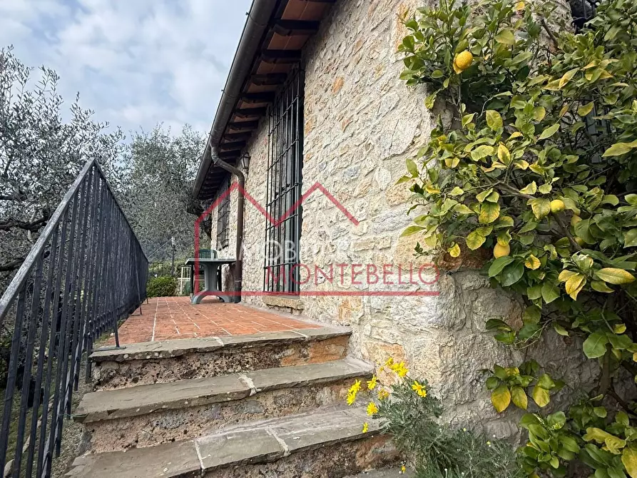 Immagine 2 di Rustico / casale in vendita  a Camaiore