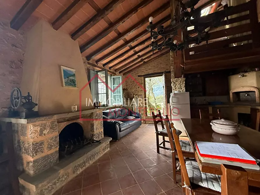 Immagine 15 di Rustico / casale in vendita  a Camaiore