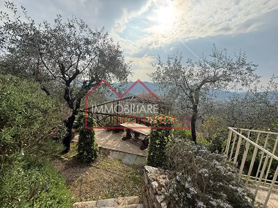 Immagine 35 di Rustico / casale in vendita  a Camaiore