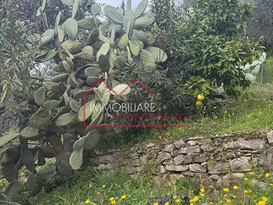 Immagine 39 di Rustico / casale in vendita  a Camaiore