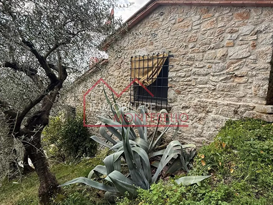Immagine 8 di Rustico / casale in vendita  a Camaiore