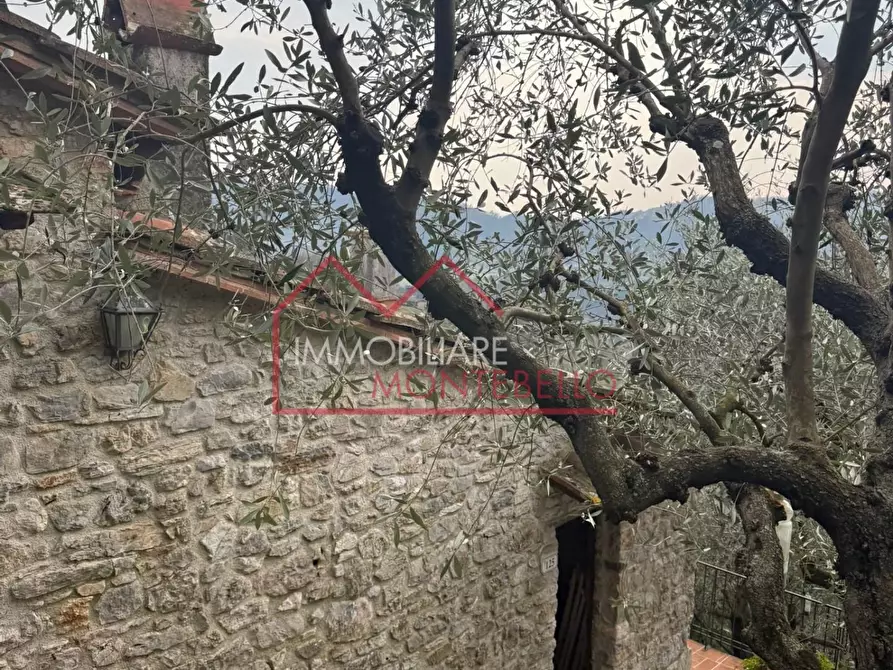Immagine 9 di Rustico / casale in vendita  a Camaiore