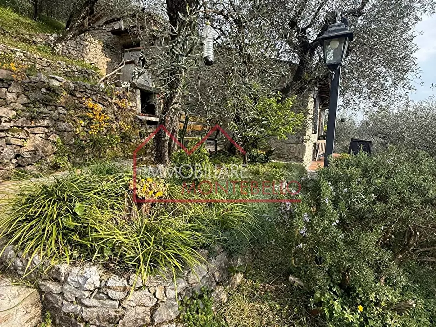 Immagine 37 di Rustico / casale in vendita  a Camaiore
