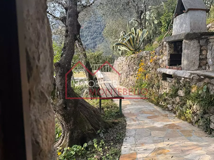 Immagine 12 di Rustico / casale in vendita  a Camaiore