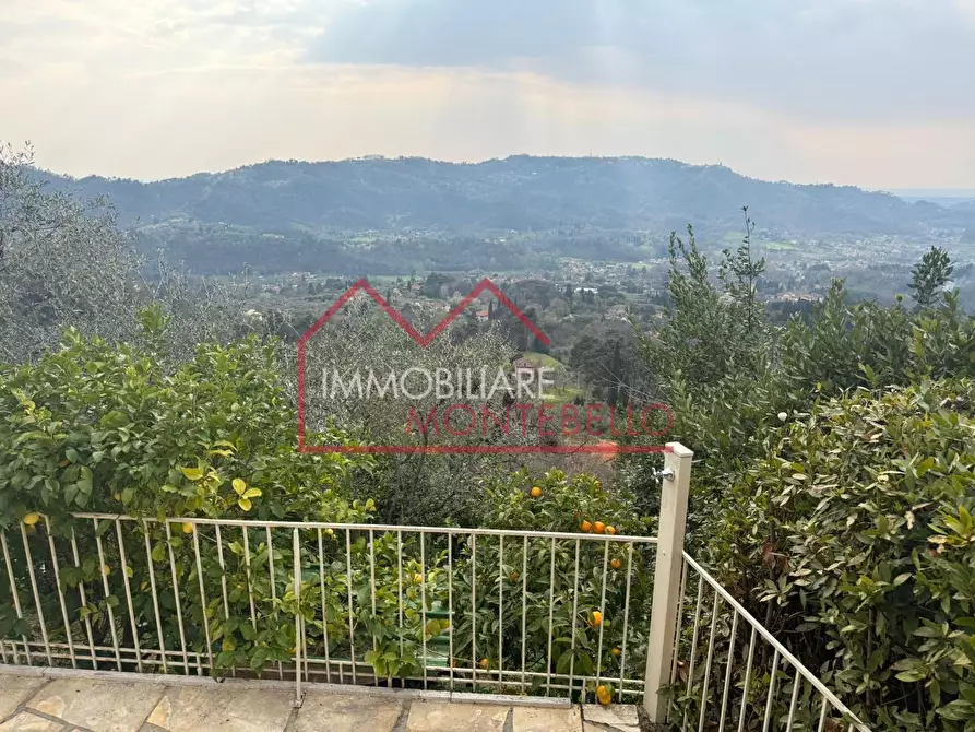 Immagine 3 di Rustico / casale in vendita  a Camaiore