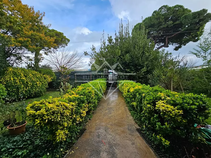 Immagine 5 di Casa bifamiliare in vendita  a Massa