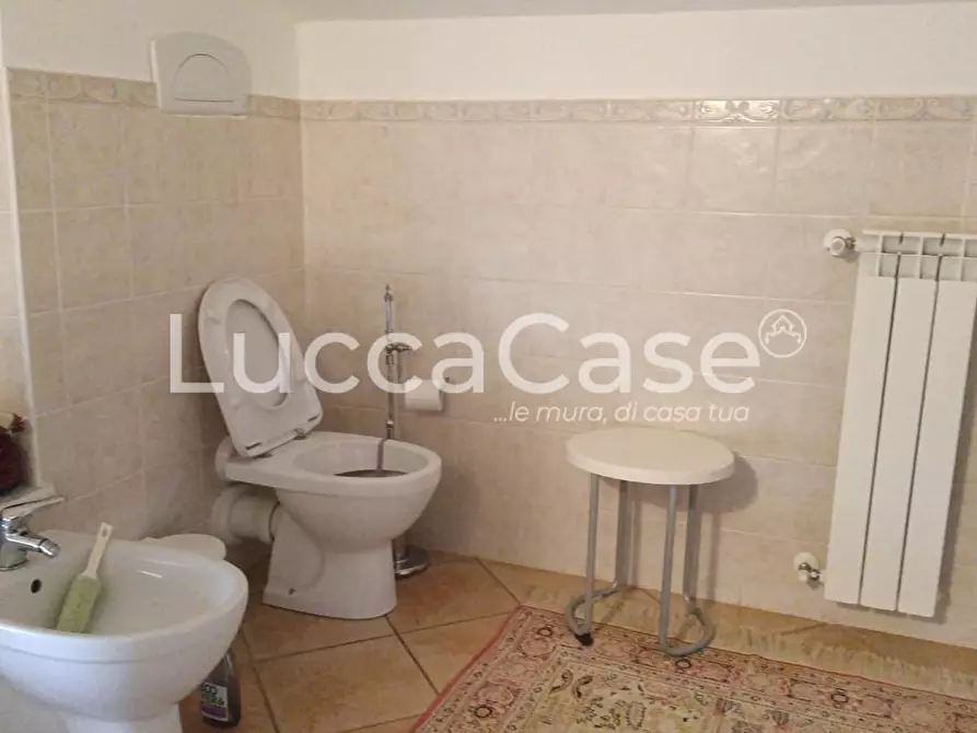 Immagine 16 di Casa quadrifamiliare in vendita  a Santa Luce