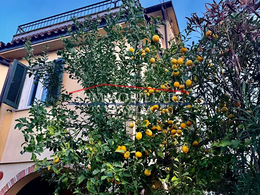 Immagine 31 di Appartamento in vendita  a Massa