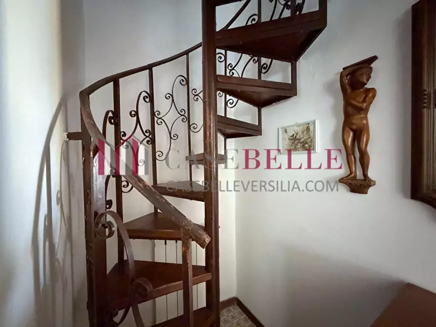 Immagine 13 di Terratetto in vendita  a Camaiore