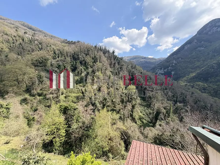 Immagine 24 di Terratetto in vendita  a Camaiore