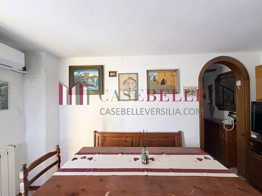 Immagine 5 di Terratetto in vendita  a Camaiore