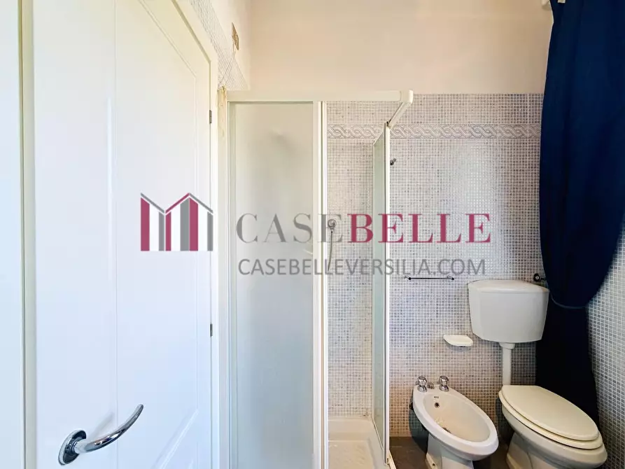 Immagine 18 di Mansarda in vendita  a Pietrasanta