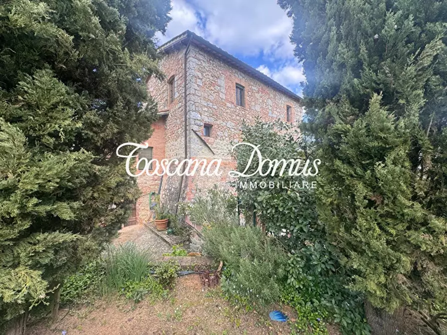 Immagine 3 di Porzione di casa in vendita  a Sovicille