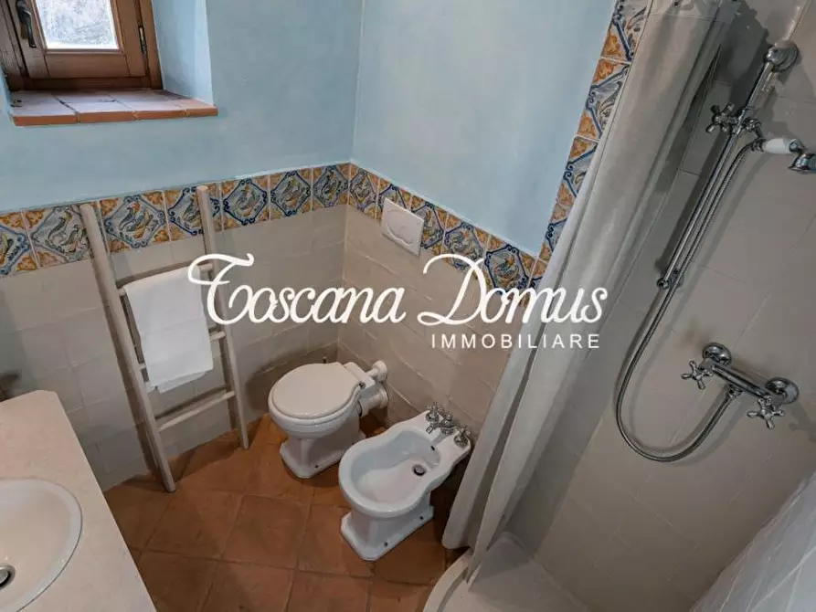 Immagine 47 di Rustico / casale in vendita  a Castelnuovo Berardenga