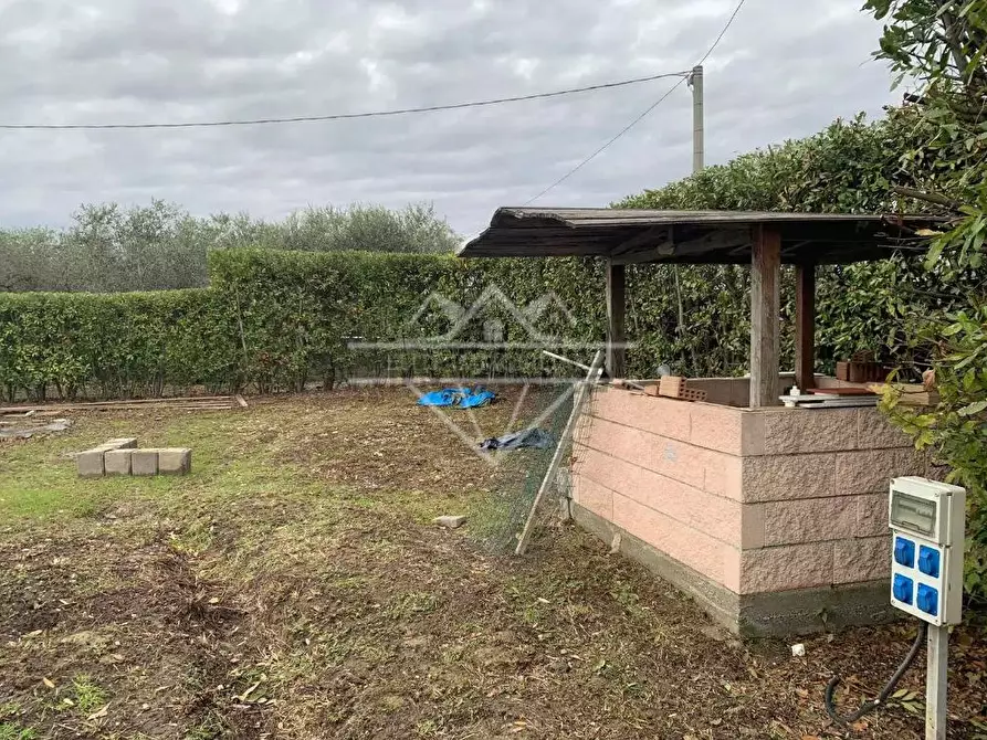 Immagine 2 di Terreno agricolo in vendita  a Castelnuovo Magra