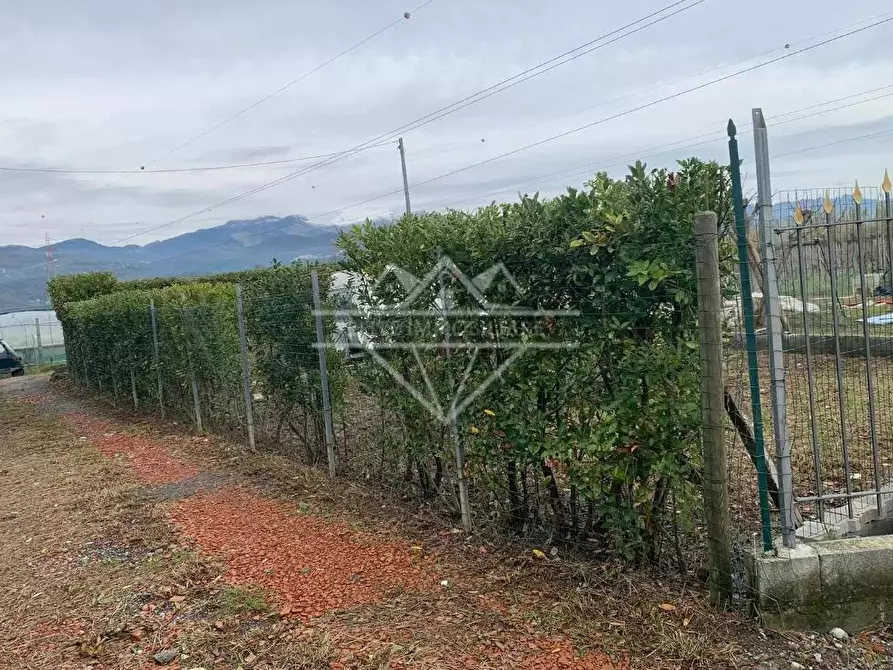 Immagine 3 di Terreno agricolo in vendita  a Castelnuovo Magra