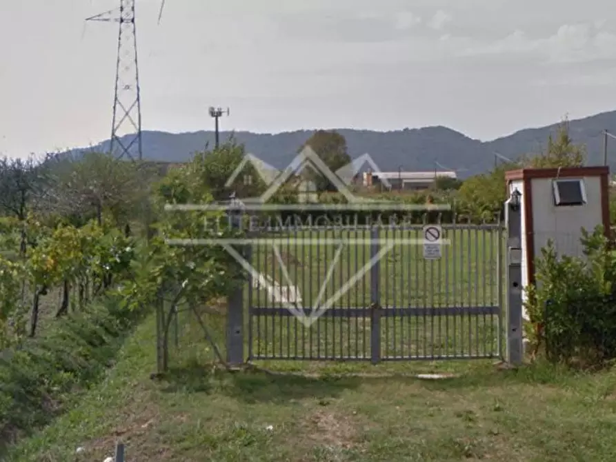 Immagine 1 di Terreno agricolo in vendita  a Castelnuovo Magra
