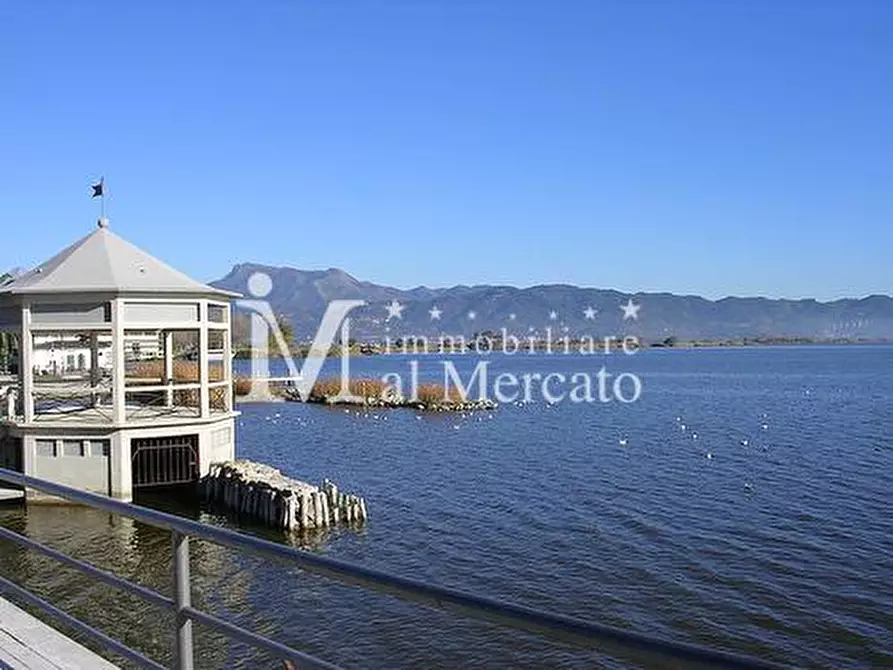 Immagine 1 di Locale commerciale in vendita  a Viareggio