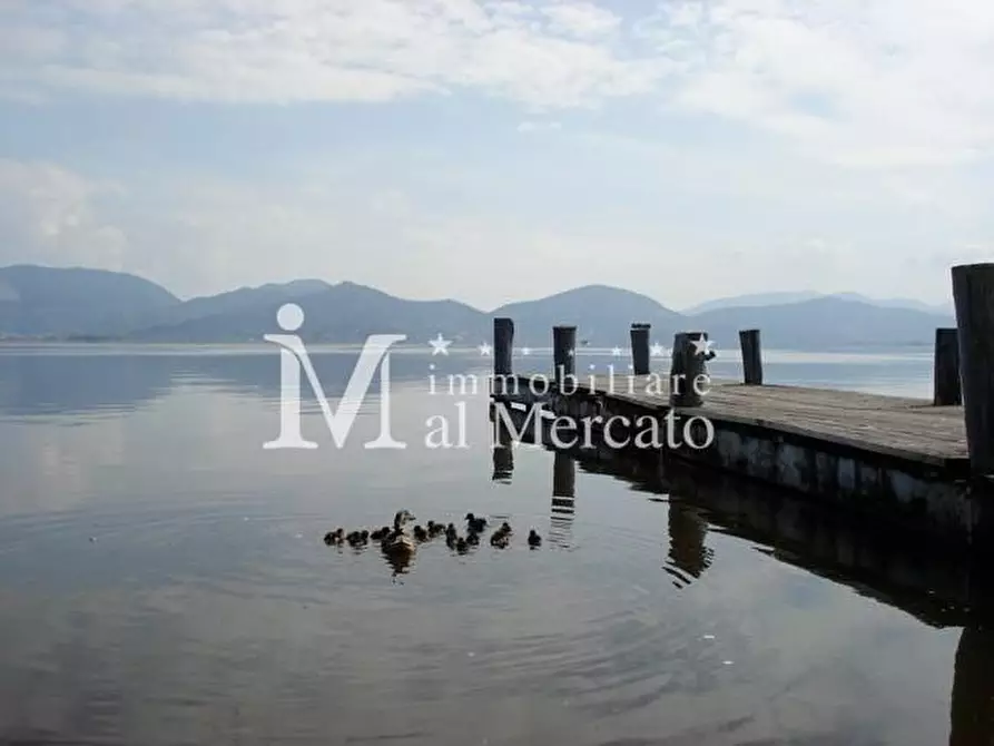 Immagine 2 di Locale commerciale in vendita  a Viareggio